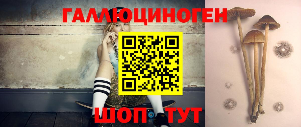 Галлюциногенные грибы MAGIC MUSHROOMS Углич